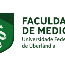 Versão colorida por extenso horizontal